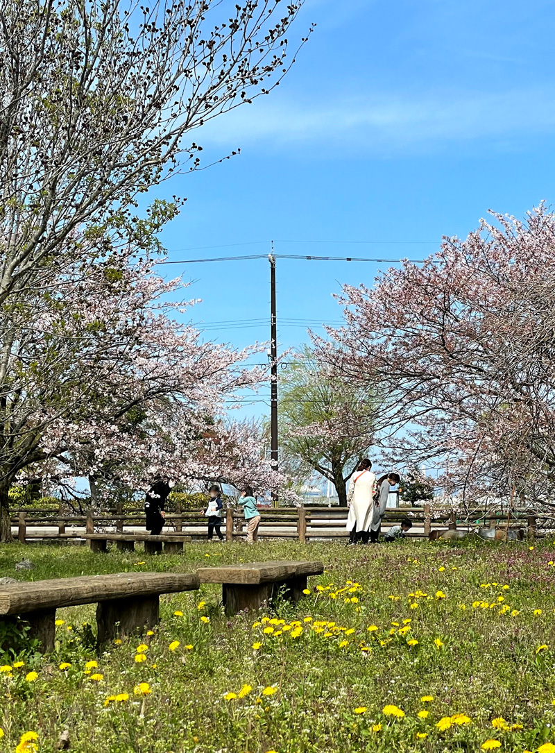 くじらぐも